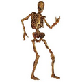 Jointed Skeleton Figure